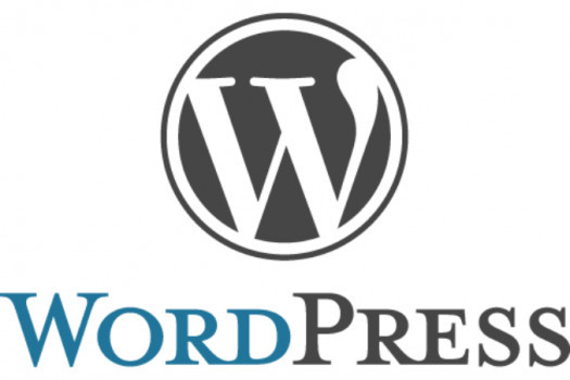 Cours de base sur Wordpress + DIVI