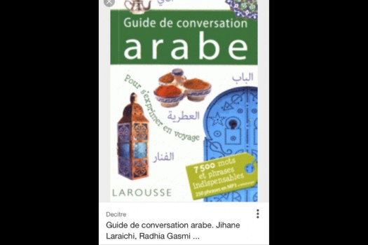 Professeure pédagogue  très expérimentée donne cours de langue arabe