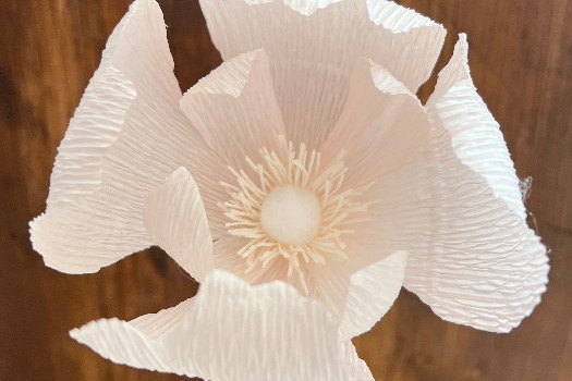 Atelier créatif fleur éternelle en papier « 1 fleur simple »