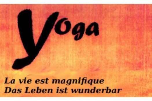 Hatha yoga / Ashtanga yoga