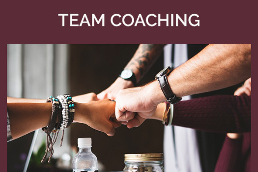 Formation au coaching d'équipe