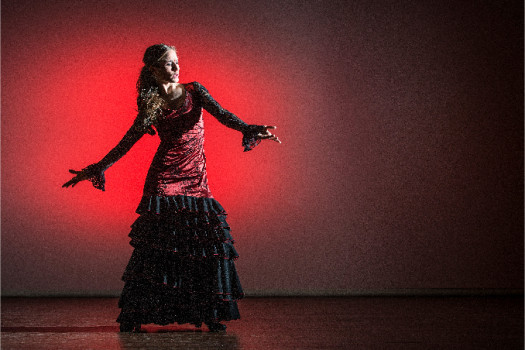 Cours de Flamenco pour adultes