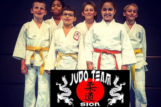 Cours de judo pour les Juniors
