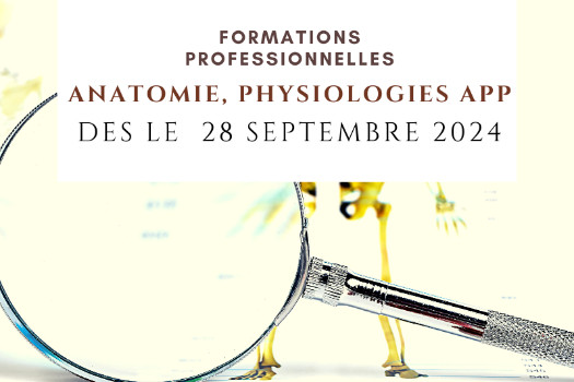 Anatomie, Physiologie & Pathologies, Formation Cycle 1 