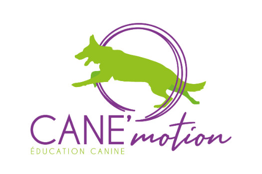 CANE'motion, école d'éducation chiot, chien et agility