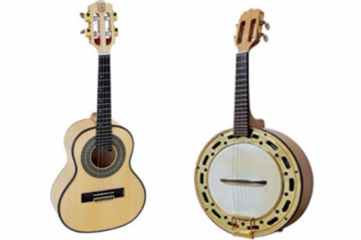 Cours de cavaquinho ou banjo brésilien en présentiel ou par skype!!