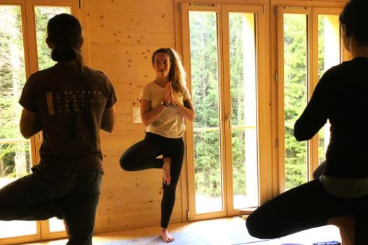 Yoga & Méditation | Du mouvement à l'immobilité