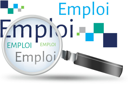 Transition de carrière & recherche d'emploi : accompagnement professionnel (CV, entretiens, orientation...)