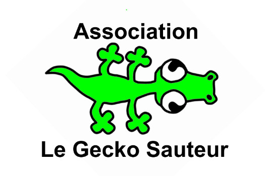 Association Le Gecko Sauteur - Cours privés de stretching