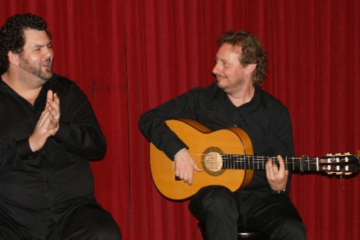 Cours et ateliers de guitare flamenca 