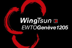 WingTsun Genève-Jonction
