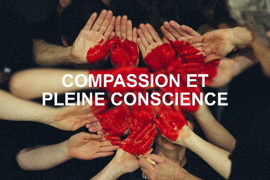 Compassion et pleine conscience  (Mindfulness Based Compassionate Living - MBCL)