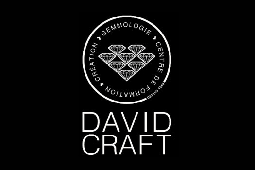 Le diamant brut chez DAVID CRAFT