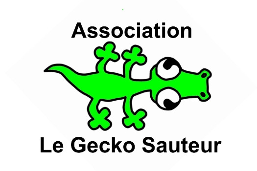 Association le Gecko Sauteur - Cours d'aikido
