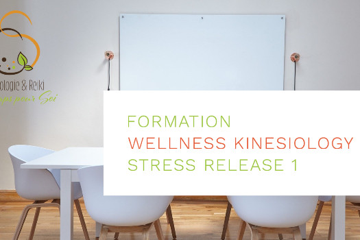 Stress Release 1 - Test musculaire - Wellness Kinesiology