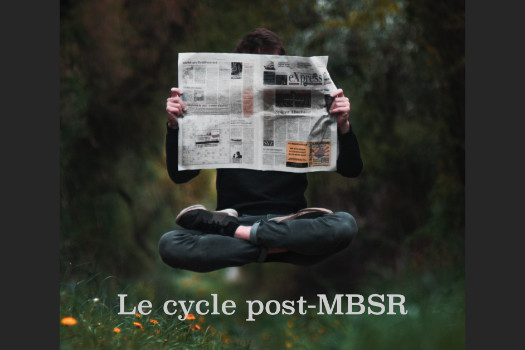 Cycle post-MBSR de 8 mois d'approfondissement de la pleine conscience