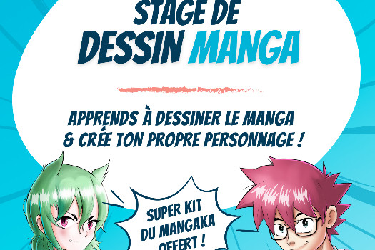 Stage de dessin Manga sur 3 jours pendant les vacances scolaires