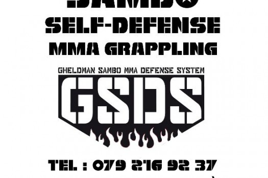 Combat-Sambo, Russian Self-Defense, MMA, Pancrace....