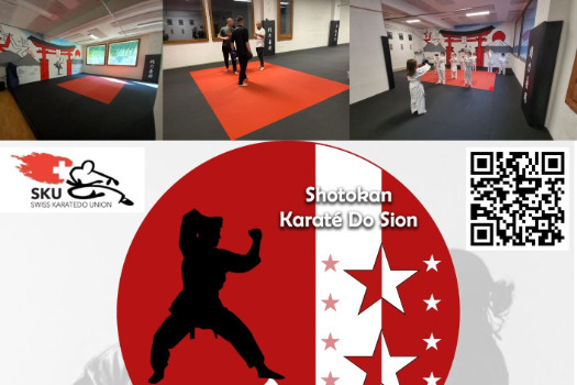 Shotokan Karaté Do Sion 