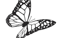 Collectif Papillon