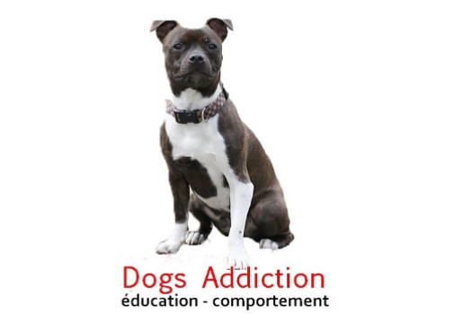 Dogs Addiction - éducation & comportement canin
