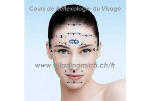 Formation de Réflexologie du visage