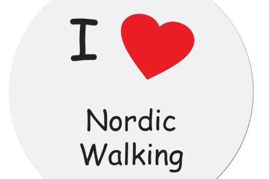 NORDIC WALKING formation et cours 