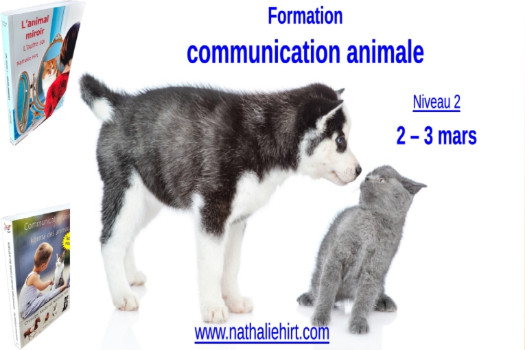 Formation de communication animale - niveau 2