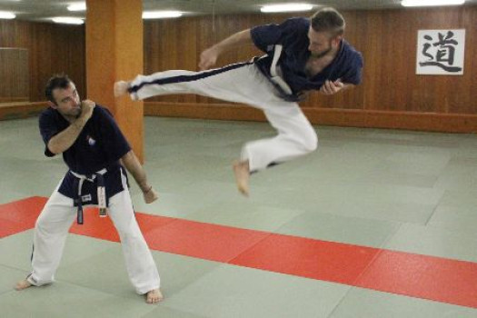 Yoseikan Budo : MMA et Self Defense