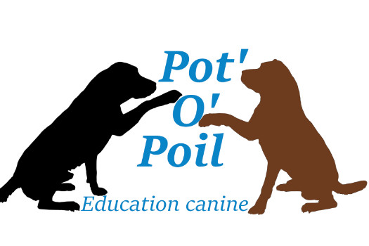 Pot'O'Poil - Cours d'éducation canine - Comportement du chien