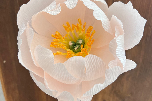 atelier créatif  fleur éternelle en papier « pivoine »  