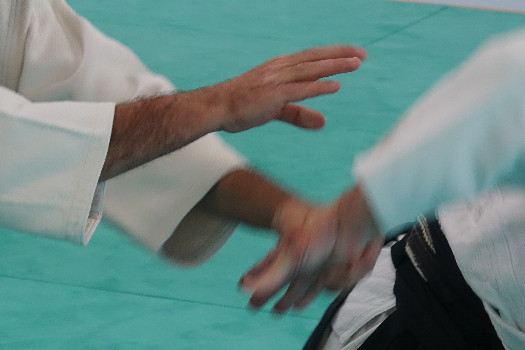 Aïki Juku Lausanne Dojo. Ecole d'Aïkido