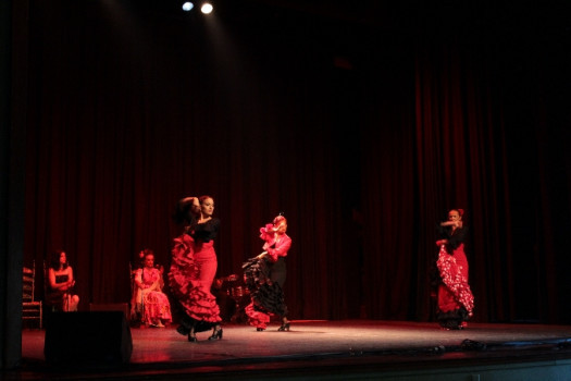 Flamenco, au centre de Lausanne