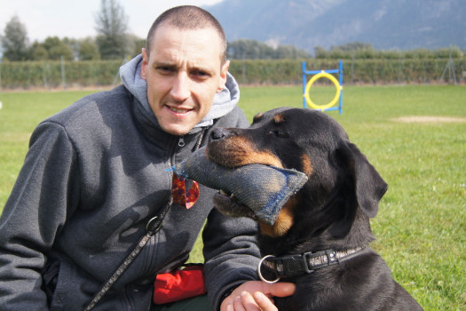 Swiss Dog Training