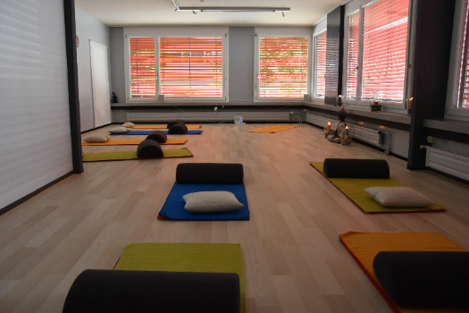 Cours de Yoga; Yoga femmes enceintes; Yoga postnatal; yoga thérapeutique à Fribourg