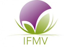 IFMV