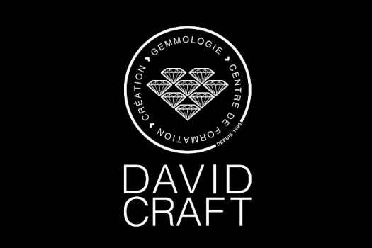 Les pierres synthétiques chez DAVID CRAFT (continuation du cours de base)