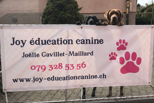 Education canine en cours collectifs et privés